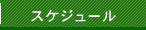 スケジュール